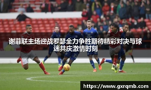 必一运动谢菲联主场迎战罗瑟全力争胜期待精彩对决与球迷共庆激情时刻